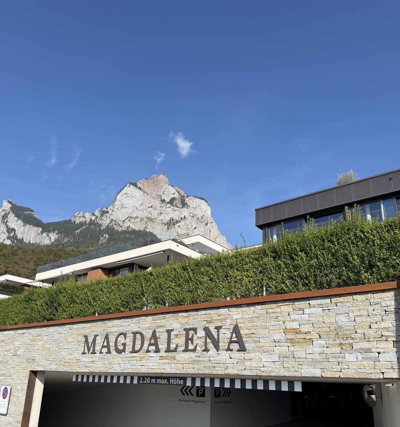 Dominik Hartmann of Magdalena Is GaultMillau's Chef of the Year 2027 — and He Doesn't Cook Meat