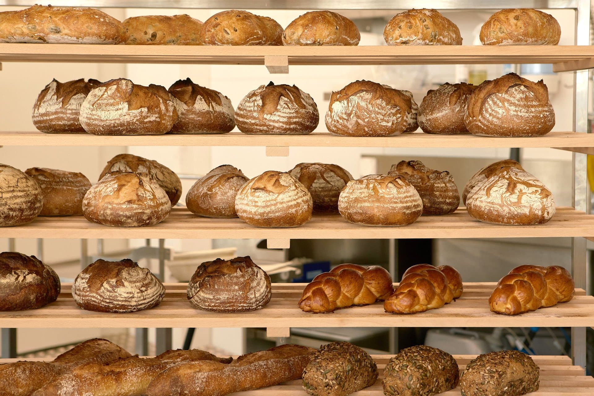 Babu's Bakery Wipkingen